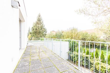 1-Zimmer- Wohnung mit Küche in zentraler Lage - Foto 5