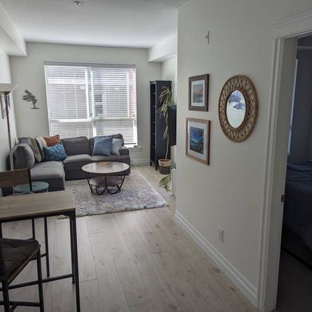 Furnished 1 bed 1 bath PET FRIENDLY - Photo 3