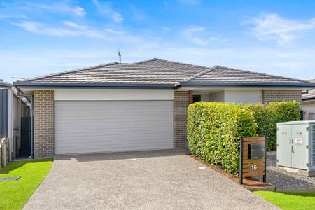 16 Marchment Street, Thrumster NSW 2444 - House For Rent | Domain - Photo 4