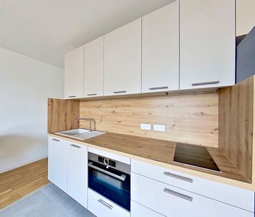 Location Appartement 2 pièces 42m² - Photo 5