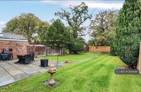 3 bedroom semi-detached house to rent - Photo 4