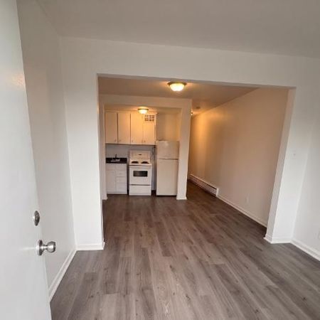 1 CH - 1 SDB - Montréal - $1,149 /mo - Photo 3