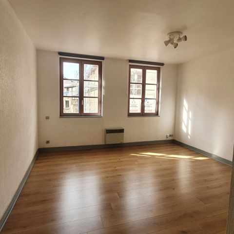 Location Appartement 1 pièce LIMOGES (87000) - Photo 1