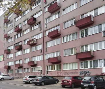 JASNE BŁONIA do wynajęcia 2 pok. po remoncie - Фото 1