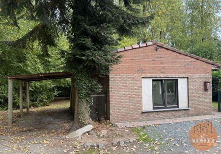 Bungalow voor 2e verblijf met tuin - Photo 4