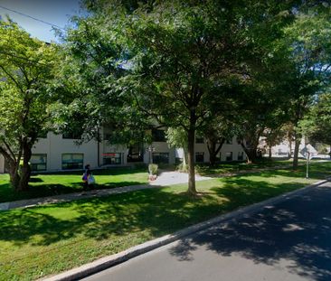 Pharmacy Apartments - Photo 4