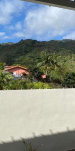 Location Appartement 1 pièce 24m² STE CLOTILDE 97490 - Photo 3