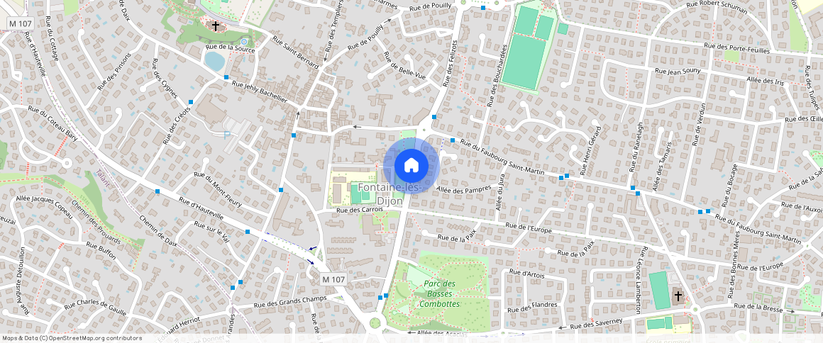 FONTAINE LES DIJON (21121)