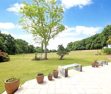 7 bedroom detached house to rent - Photo 5