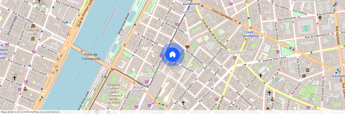 1 RUE JANGOT, LYON 7EME ARRONDISSEMENT Pasteur