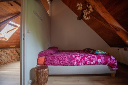 Parel in het Pajottenland met sauna - Foto 4