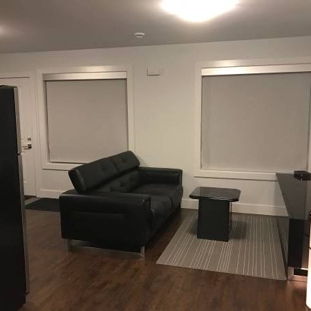 New Fully Furnished 1 bedroom suite - Photo 3