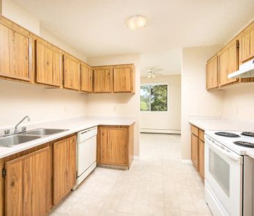 Queensgate Manor — 1 Bedroom + Balcony - Photo 1