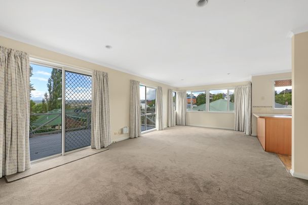 Elevated and Sunny - Photo 1