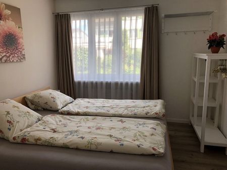 3 ROOM APARTMENT IN RAPPERSWIL (SG), FURNISHED, TEMPORARY - Foto 2