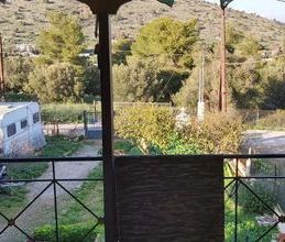 Μονοκατοικία για ενοικίαση - Σαλαμίνα - Φωτογραφία 5