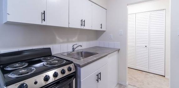 Renovated James Bay Studio Apartment - Waverly - Photo 2