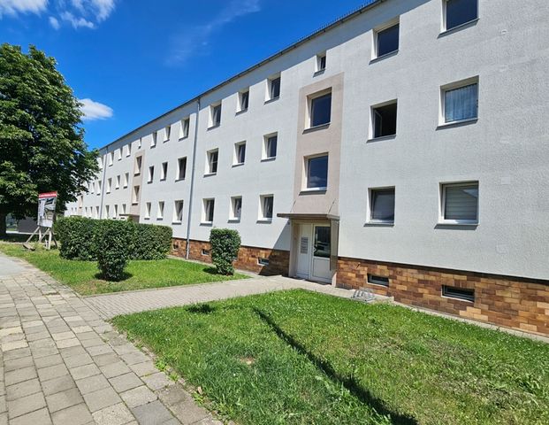 3 Zimmerwohnungen mit Balkon in der Anhaltsiedlung- frisch saniert! - Foto 1