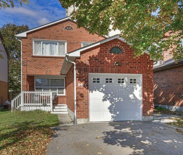 For Lease - 36 Plumridge Court Unit# B, Ajax, Ontario - Photo 1