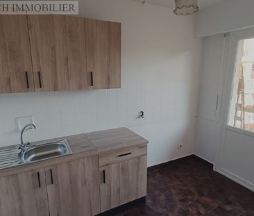 Location Appartement 1 pièce 26m² NICE 06300 - Photo 5