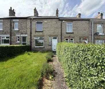 Alexandra Gardens, Ryton, NE40 - Photo 5