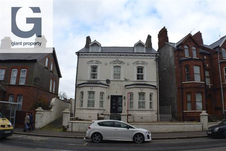 49 Ballygomartin Road - Flat 3, belfast, BT133LA - Photo 4