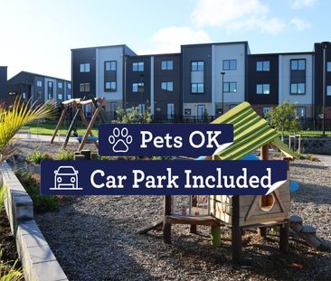 Charming 2 Bedrooms Low Maintenance - Photo 3