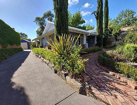 Right in the Heart of Town - Photo 2