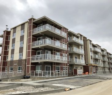 2 Bedroom Condo For Rent In Harvest Hills. Heat & Water Included - Photo 4