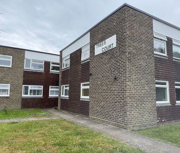 St Peters Crescent, Selsey - Photo 6