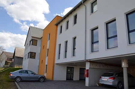 Wohnung in Rappottenstein - Foto 3