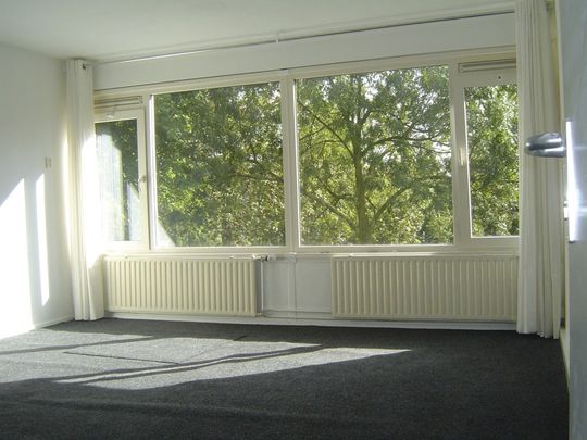 Te huur: Kamer Dovenetel in Apeldoorn - Photo 1