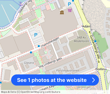 Magnus Isaeus Gata 2 - Photo 1