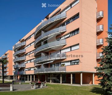 2.5 Zimmer, 69 m² - Foto 2