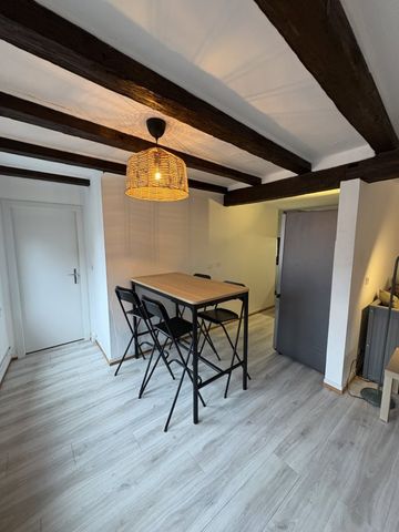 Appartement 1 pièce à Strasbourg - Photo 4