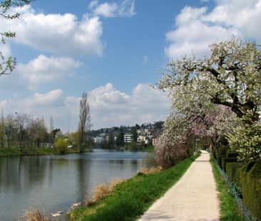 Gemütliche Wohnung mit Aussicht über die Stadt Zürich - Foto 6