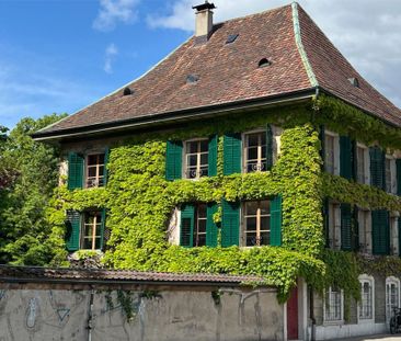 Living in a stylish old-building villa in the best location in Solo... - Photo 4