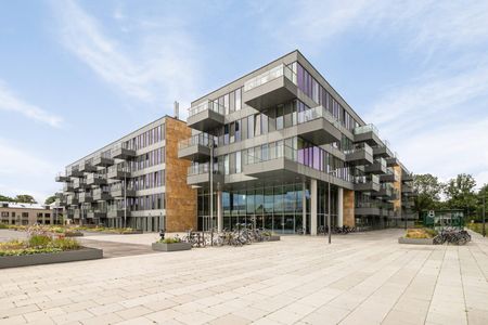 Grenenhout 8-413 - Photo 5