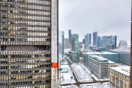 628 Rue St Jacques, Montréal (Ville-Marie), QC H3C - Photo 3
