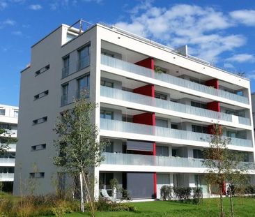 Stilvolle und moderne 2.5-Zimmer-Wohnung - Foto 5