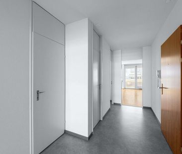 Lichtdurchflutete gemütliche Wohnung gesucht? - Foto 5