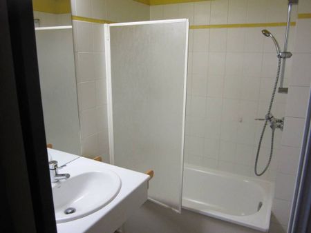 Location Appartement 1 pièce 17m² ANNECY 74000 - Photo 4