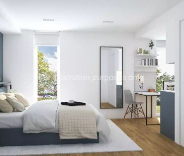 Premium Plus Studio - Photo 1