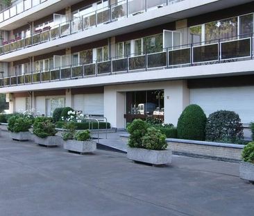 app. 1 slpk. terras - Photo 6