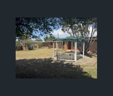 175 Charles Street, Heatley, Qld 4814 - Photo 5