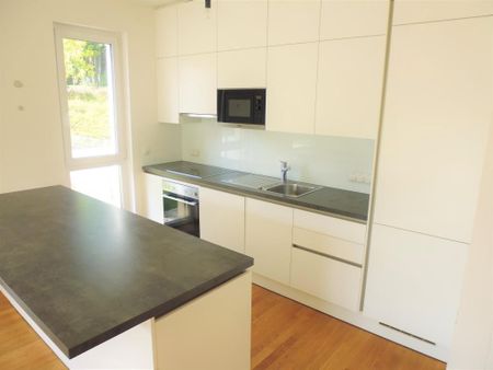 Traumhafte Gartenwohnung in Hofruhelage - vis á vis Schlosspark Maria Enzersdorf - Ab JÄNNNER! - Foto 5