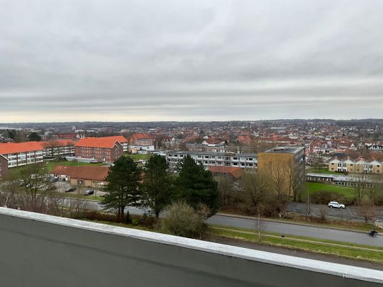 2-værelses Lejlighed på 74 m² i Haderslev - Photo 1