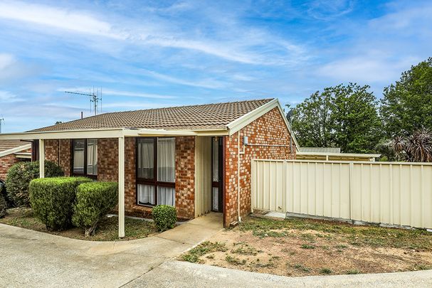 2/17 Henderson Road, Queanbeyan NSW 2620 - Townhouse For Rent | Domain - Photo 1