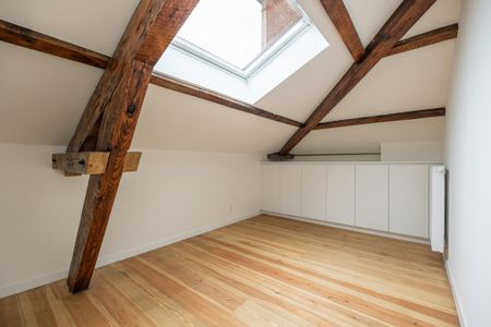 Volledig gerenoveerd duplexappartement in hartje Antwerpen - Foto 3