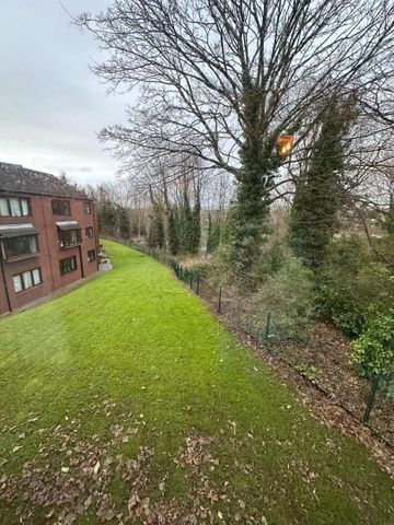 4c Stranmillis Court, BT9, Belfast - Photo 5